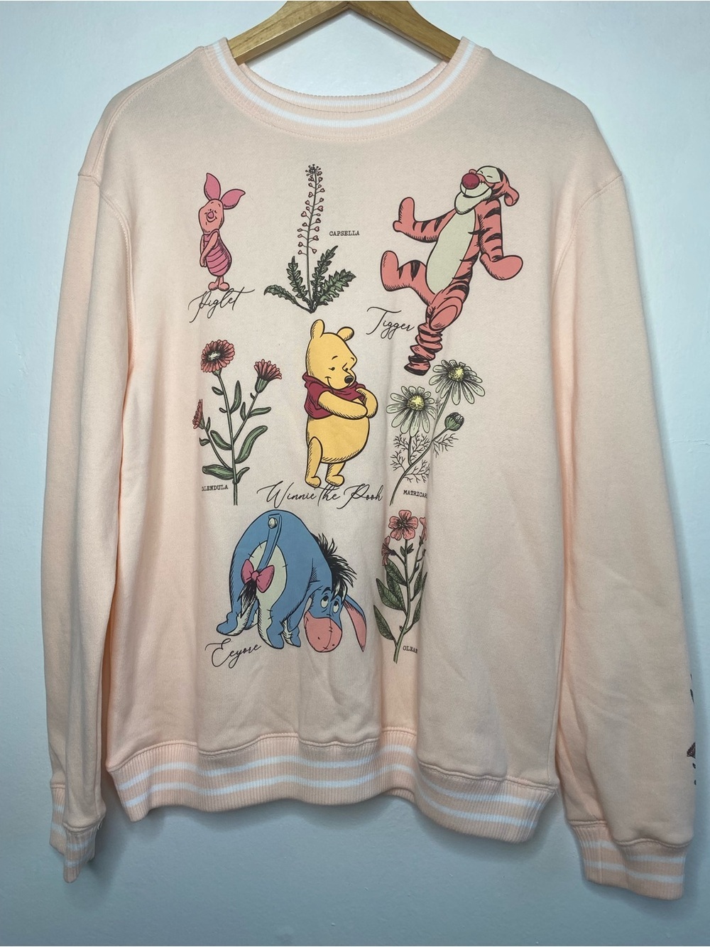 Winnie the Pooh and friends Botanical Crewneck Sweatshirt Size XL